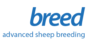 Advanced Sheep Breeding